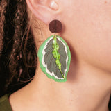 Calathea Medallion Earrings - Green - DORUZOVA